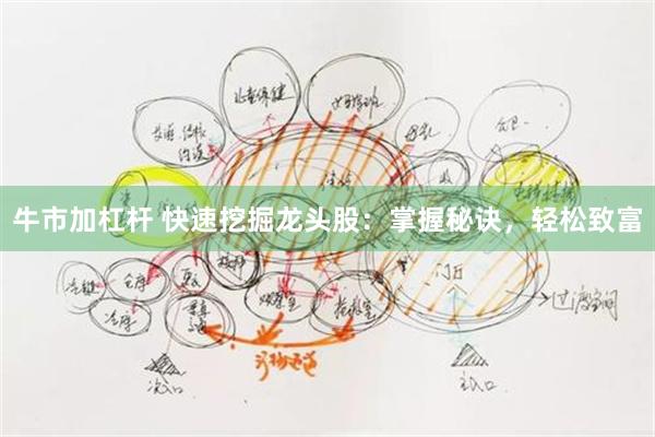 牛市加杠杆 快速挖掘龙头股：掌握秘诀，轻松致富