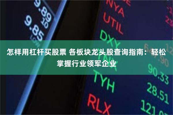 怎样用杠杆买股票 各板块龙头股查询指南：轻松掌握行业领军企业