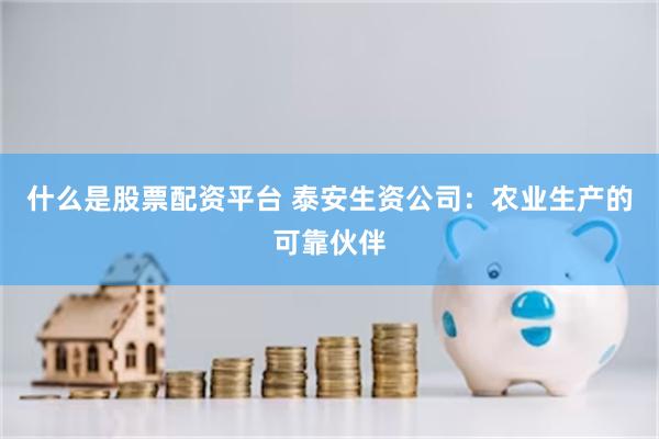 什么是股票配资平台 泰安生资公司：农业生产的可靠伙伴