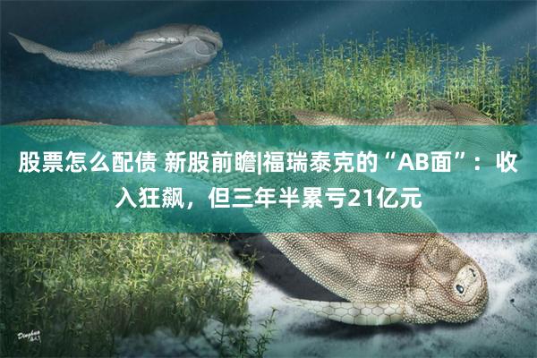 股票怎么配债 新股前瞻|福瑞泰克的“AB面”：收入狂飙，但三年半累亏21亿元