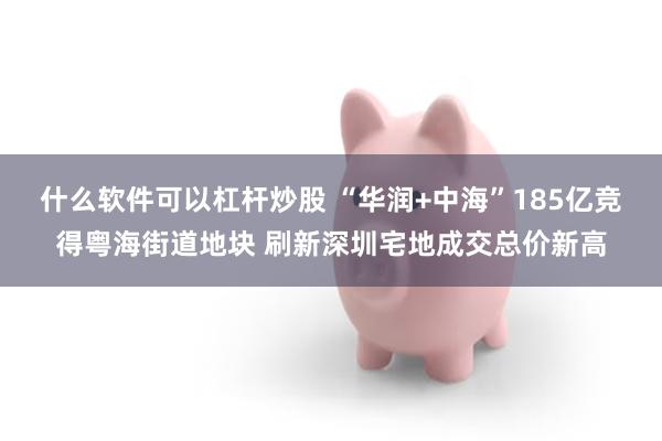 什么软件可以杠杆炒股 “华润+中海”185亿竞得粤海街道地块 刷新深圳宅地成交总价新高