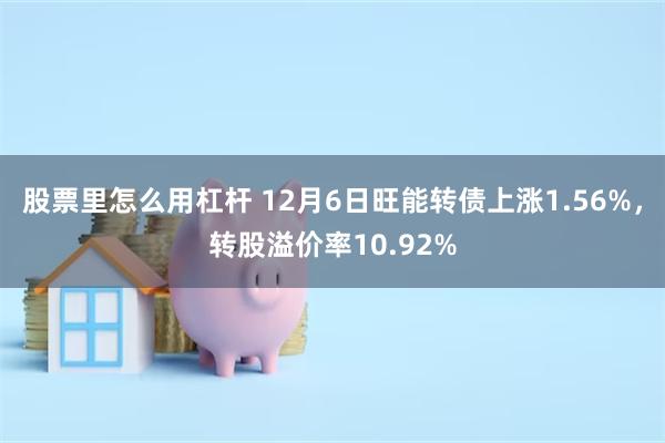股票里怎么用杠杆 12月6日旺能转债上涨1.56%，转股溢价率10.92%