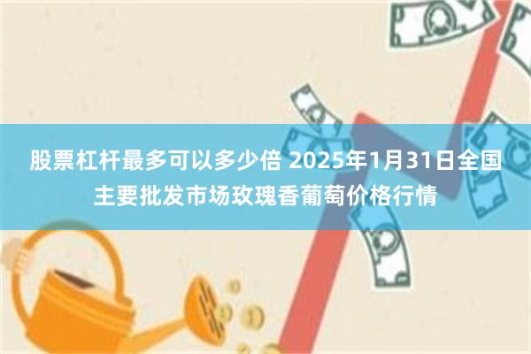 股票杠杆最多可以多少倍 2025年1月31日全国主要批发市场玫瑰香葡萄价格行情