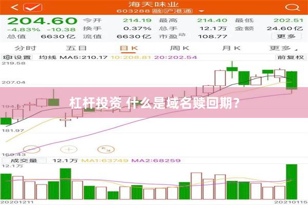 杠杆投资 什么是域名赎回期？