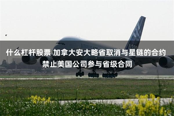 什么杠杆股票 加拿大安大略省取消与星链的合约 禁止美国公司参与省级合同