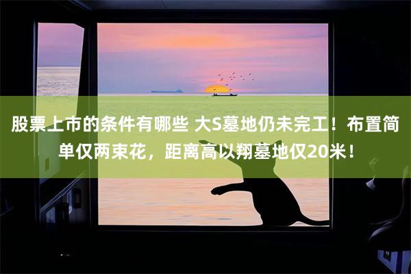 股票上市的条件有哪些 大S墓地仍未完工！布置简单仅两束花，距离高以翔墓地仅20米！