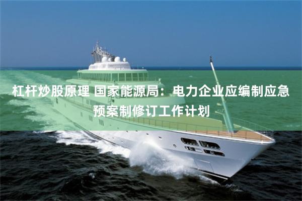 杠杆炒股原理 国家能源局：电力企业应编制应急预案制修订工作计划