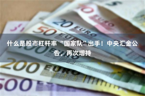 什么是股市杠杆率 “国家队”出手！中央汇金公告，再次增持