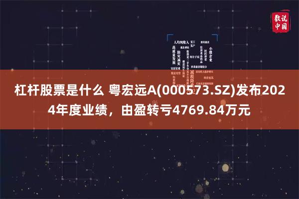 杠杆股票是什么 粤宏远A(000573.SZ)发布2024年度业绩，由盈转亏4769.84万元