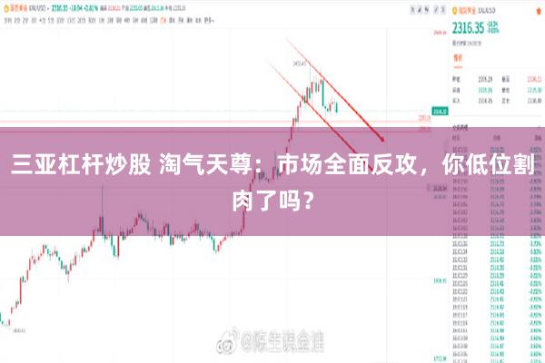 三亚杠杆炒股 淘气天尊：市场全面反攻，你低位割肉了吗？