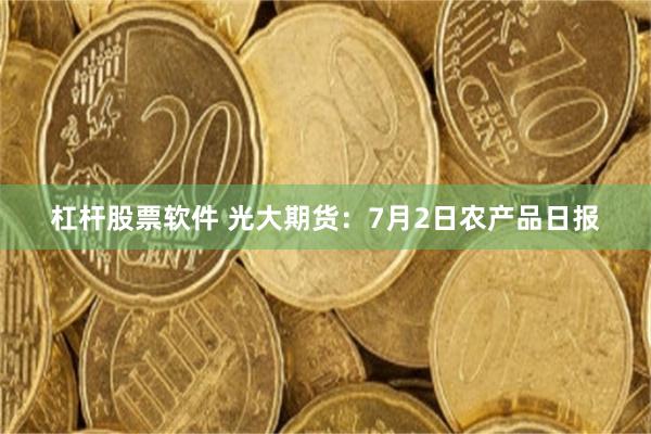 杠杆股票软件 光大期货：7月2日农产品日报