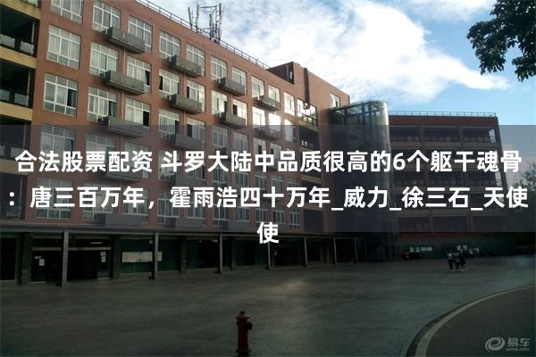 合法股票配资 斗罗大陆中品质很高的6个躯干魂骨：唐三百万年，霍雨浩四十万年_威力_徐三石_天使