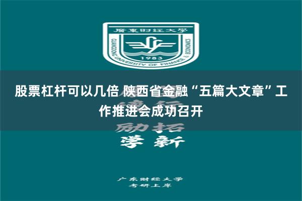 股票杠杆可以几倍 陕西省金融“五篇大文章”工作推进会成功召开