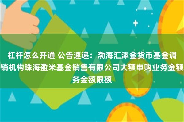 杠杆怎么开通 公告速递：渤海汇添金货币基金调整代销机构珠海盈米基金销售有限公司大额申购业务金额限额