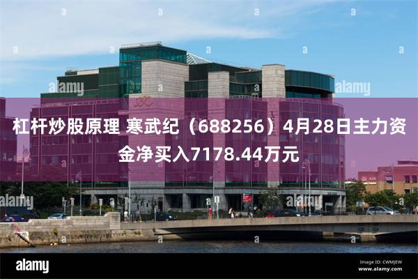 杠杆炒股原理 寒武纪（688256）4月28日主力资金净买入7178.44万元