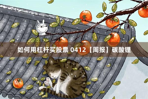 如何用杠杆买股票 0412【周报】碳酸锂