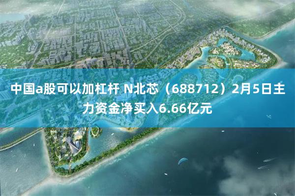 中国a股可以加杠杆 N北芯（688712）2月5日主力资金净买入6.66亿元