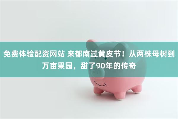 免费体验配资网站 来郁南过黄皮节！从两株母树到万亩果园，甜了90年的传奇