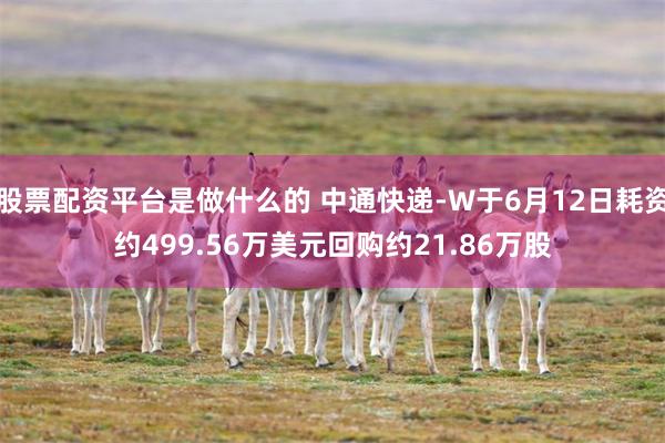 股票配资平台是做什么的 中通快递-W于6月12日耗资约499.56万美元回购约21.86万股