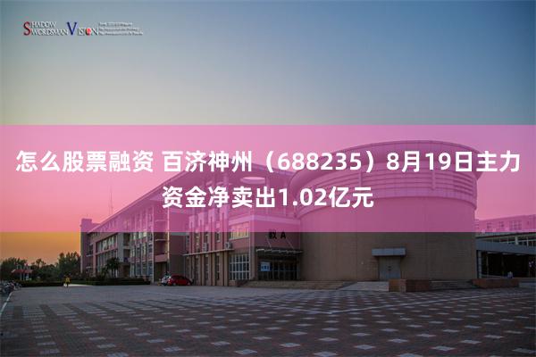 怎么股票融资 百济神州（688235）8月19日主力资金净卖出1.02亿元
