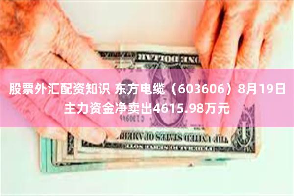 股票外汇配资知识 东方电缆(603606)8月19日主力资金净卖出4615.98万元