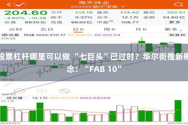 股票杠杆哪里可以做 “七巨头”已过时？华尔街推新概念：“FAB 10”