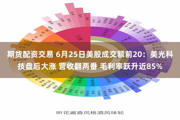 期货配资交易 6月25日美股成交额前20：美光科技盘后大涨 营收翻两番 毛利率跃升近85%