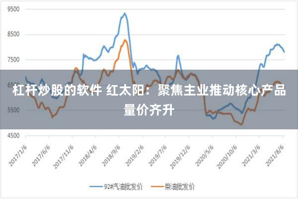 杠杆炒股的软件 红太阳：聚焦主业推动核心产品量价齐升
